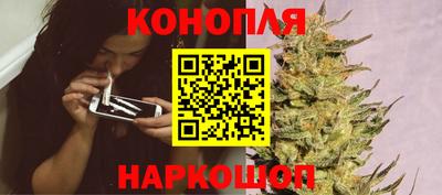 мет Можга